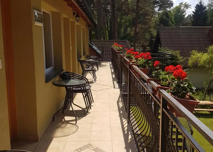 홈스테이 U Doroty *