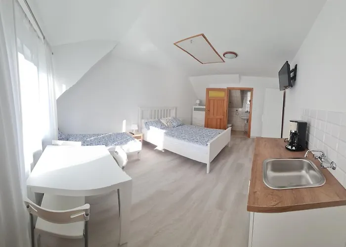 Проживание в семье U Doroty *